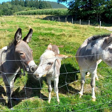 Vila La Petite Ferme La Chapelle  Exteriér fotografie